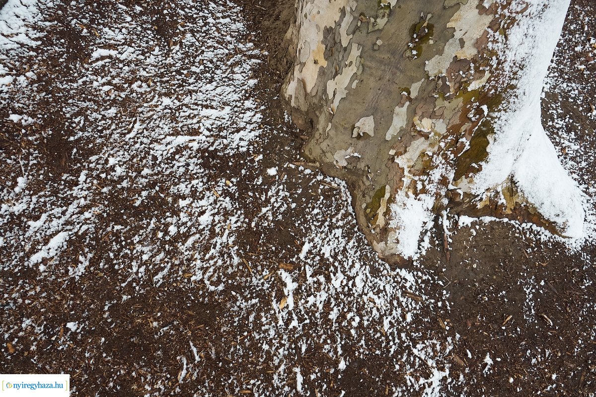 Tavaszi havazás 20200323