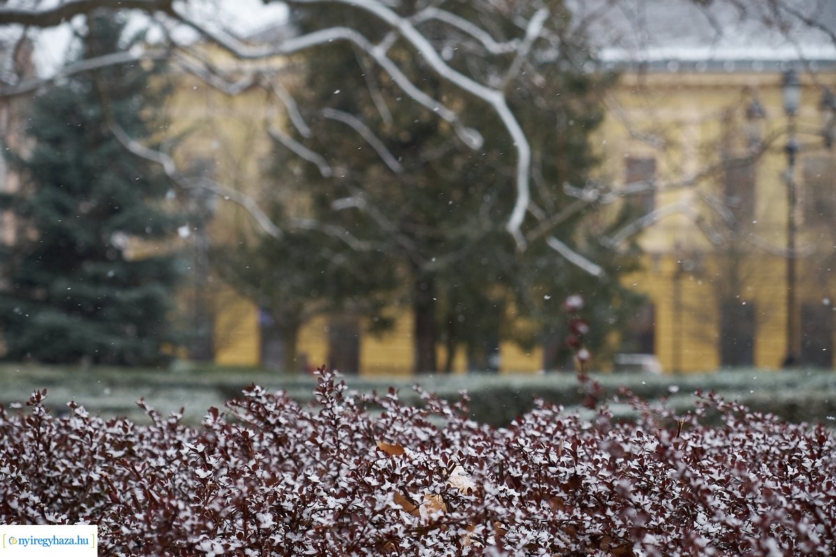 Tavaszi havazás 20200323