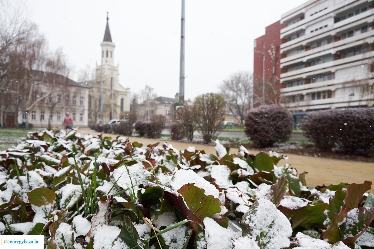 Tavaszi havazás 20200323