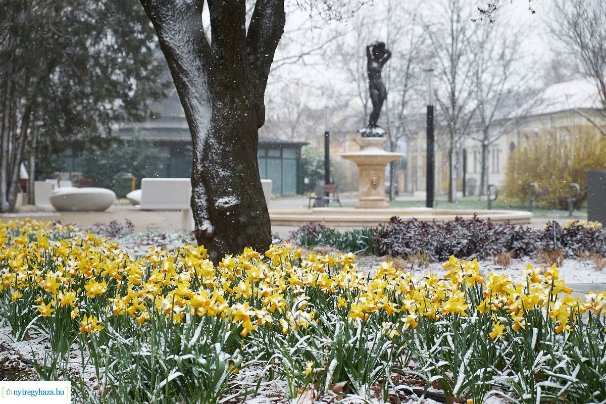 Tavaszi havazás 20200323