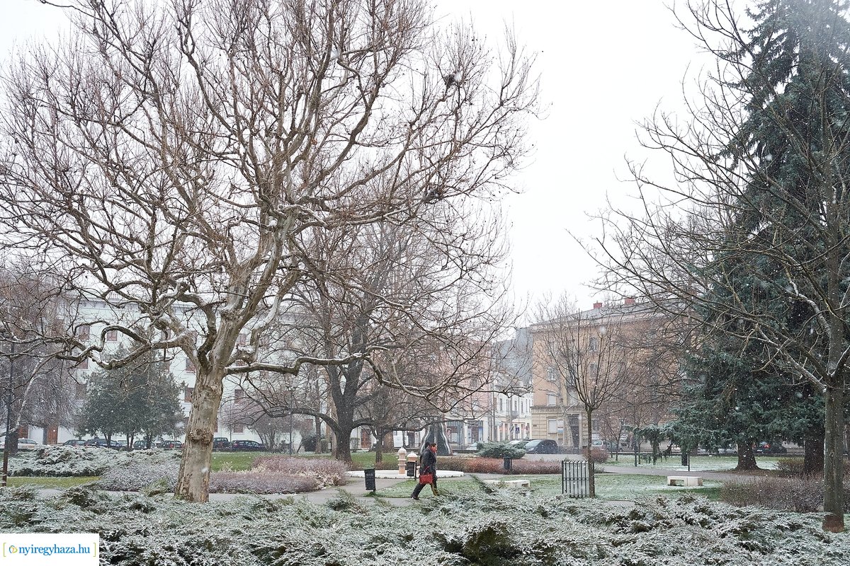 Tavaszi havazás 20200323