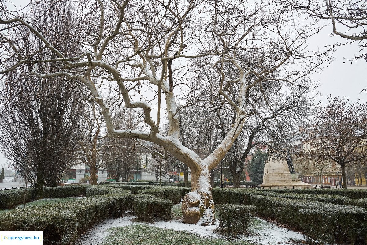 Tavaszi havazás 20200323