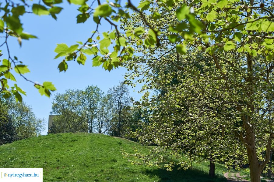 Tavaszi pillanatok a Jósavárosban
