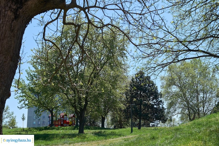 Tavaszi pillanatok a Jósavárosban