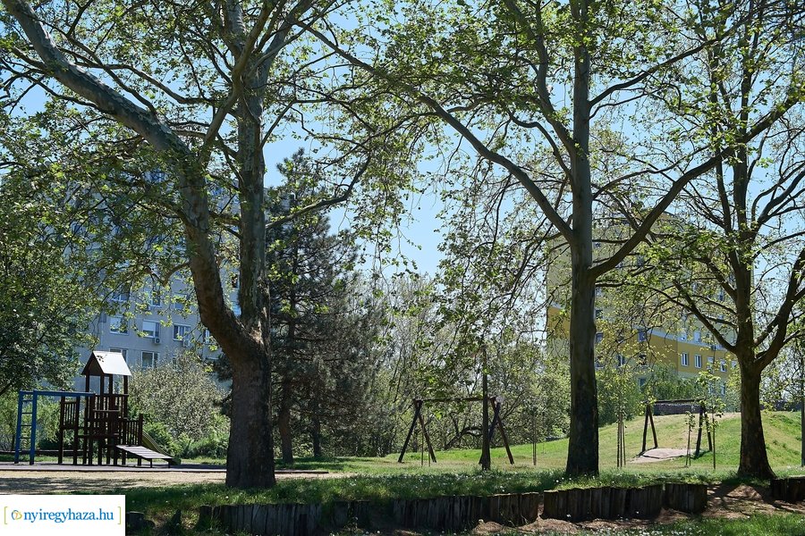 Tavaszi pillanatok a Jósavárosban