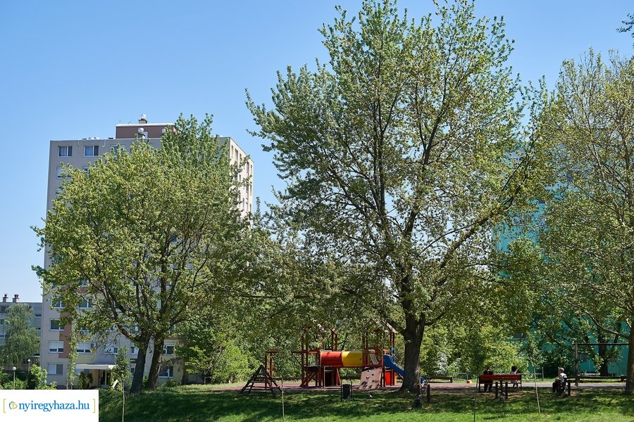 Tavaszi pillanatok a Jósavárosban