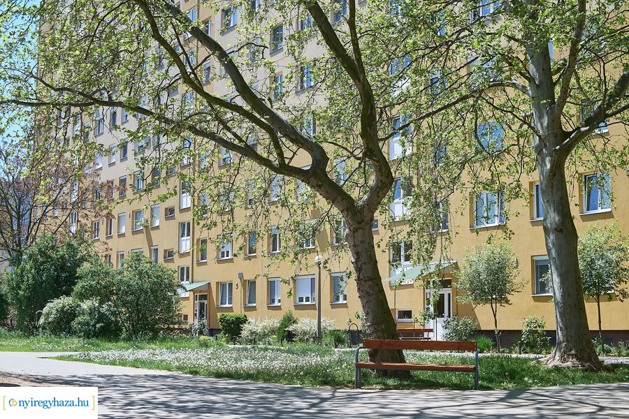 Tavaszi pillanatok a Jósavárosban