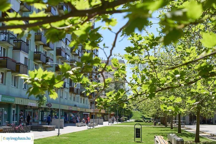 Tavaszi pillanatok a Jósavárosban