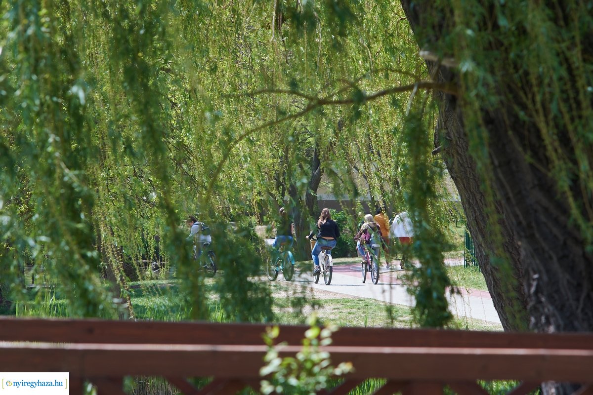 Tavaszi pillanatok Sóstón 20200427