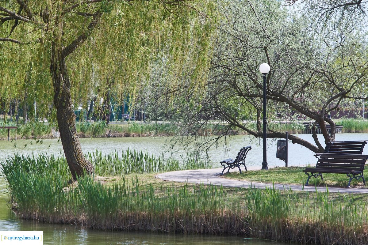 Tavaszi pillanatok Sóstón 20200427