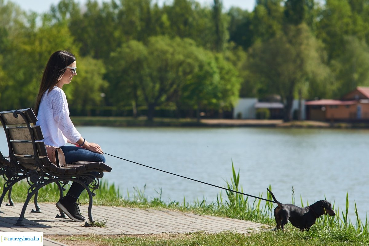 Tavaszi pillanatok Sóstón 20200427