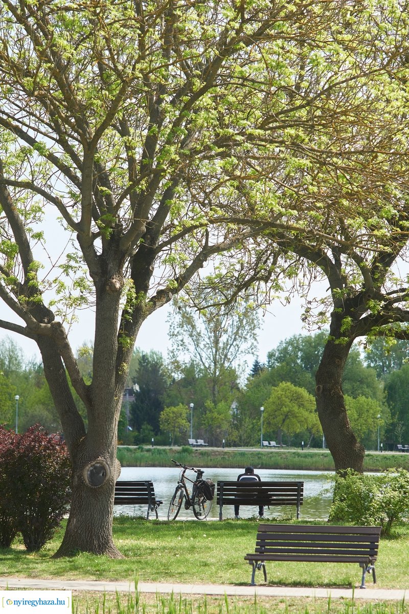 Tavaszi pillanatok Sóstón 20200427