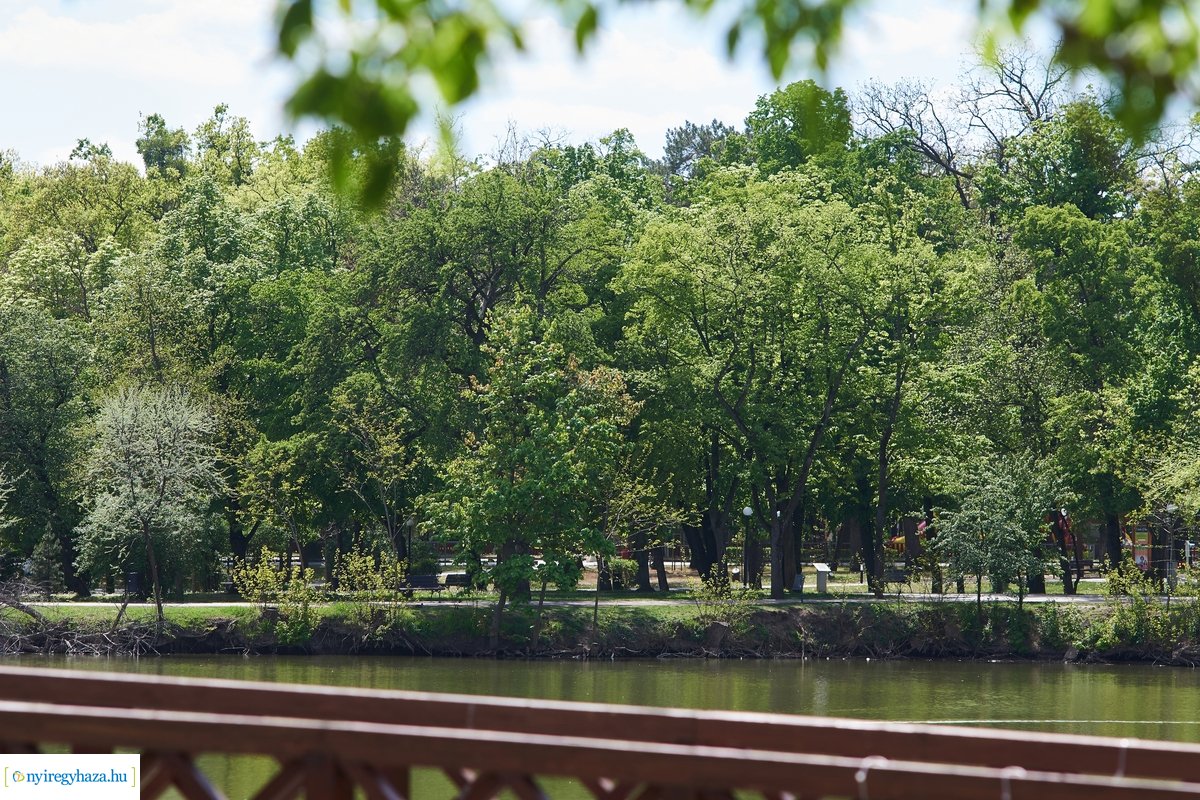 Tavaszi pillanatok Sóstón 20200427