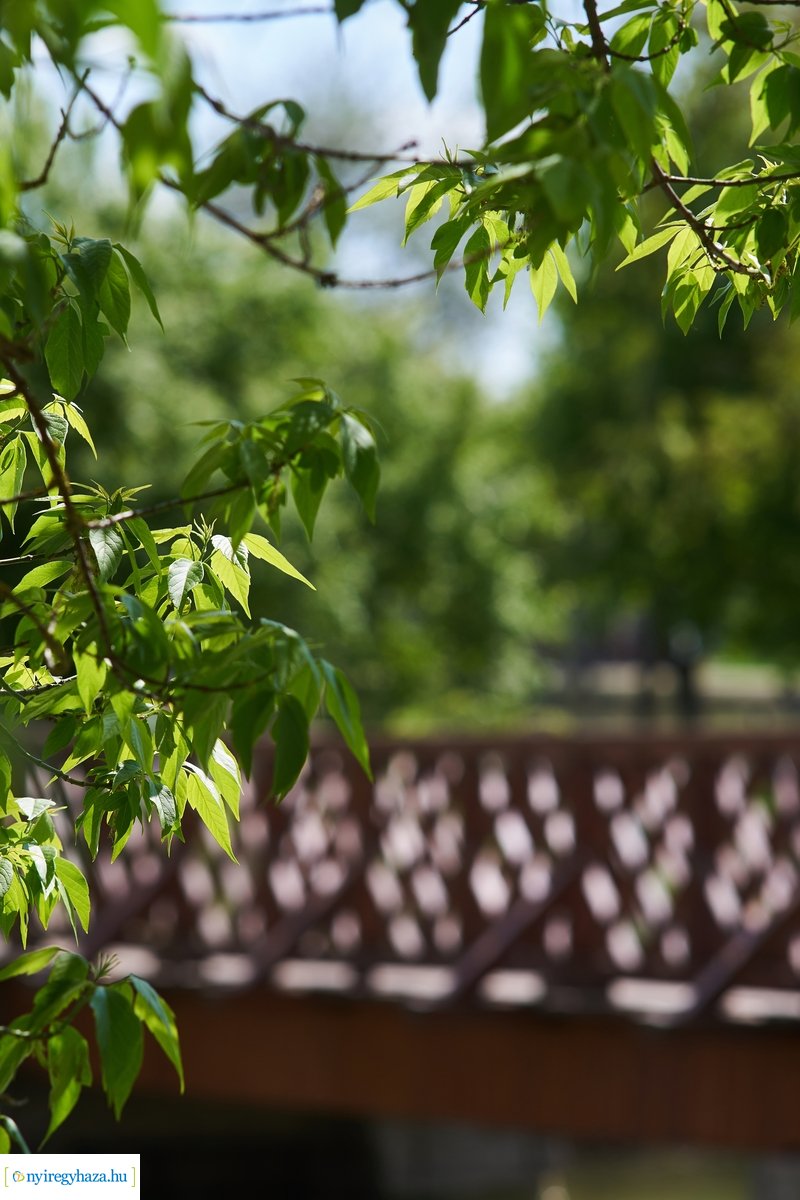 Tavaszi pillanatok Sóstón 20200427