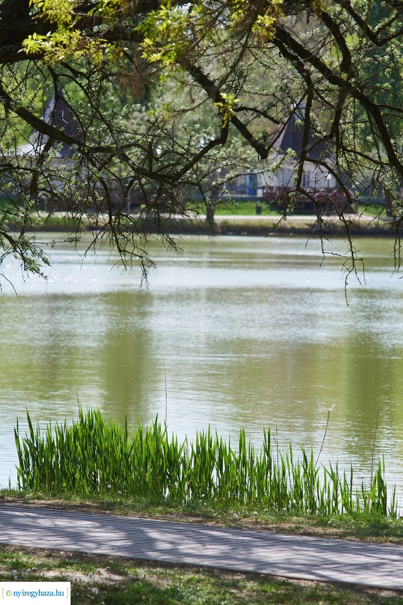 Tavaszi pillanatok Sóstón 20200427