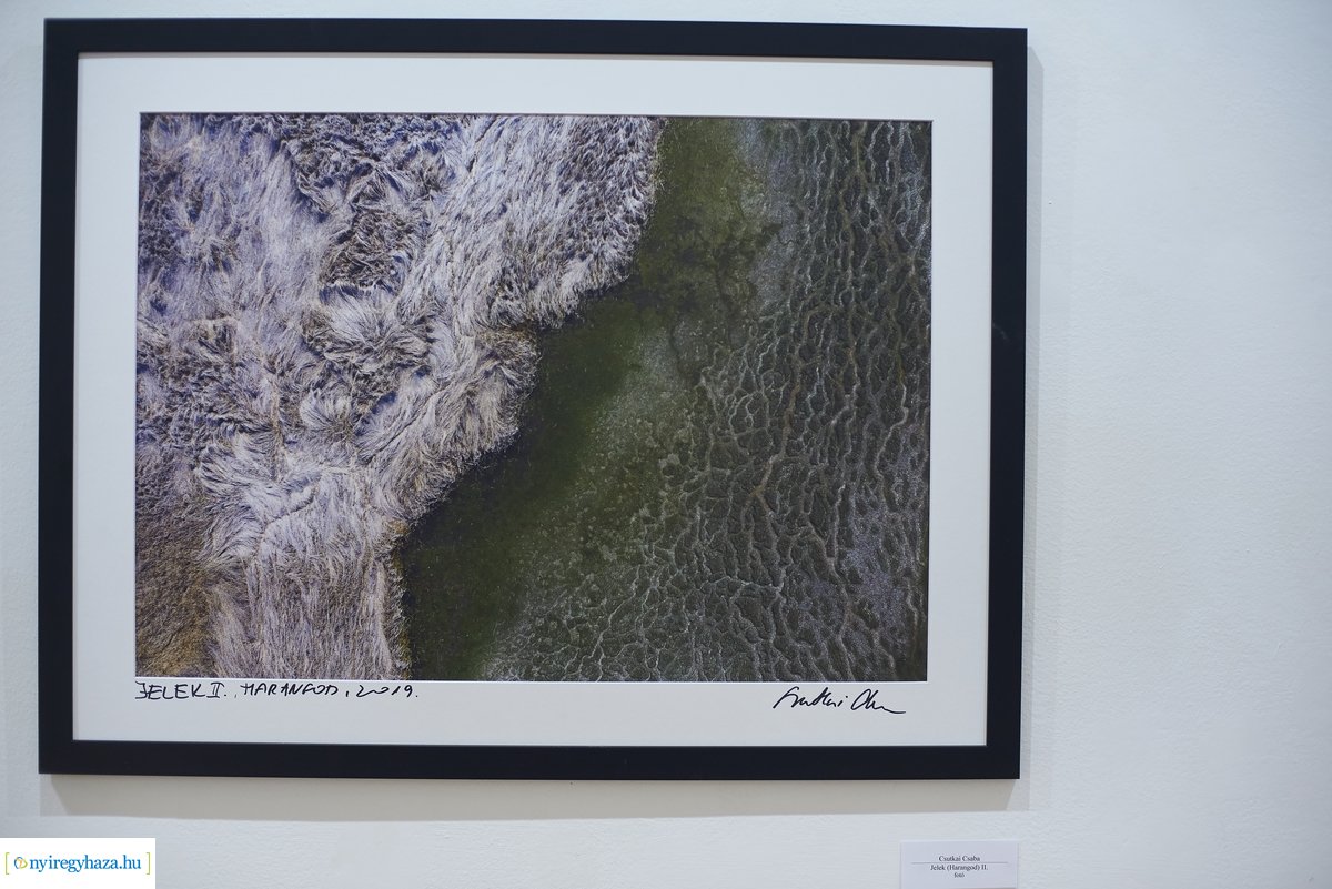 Tavaszi tárlat 2020