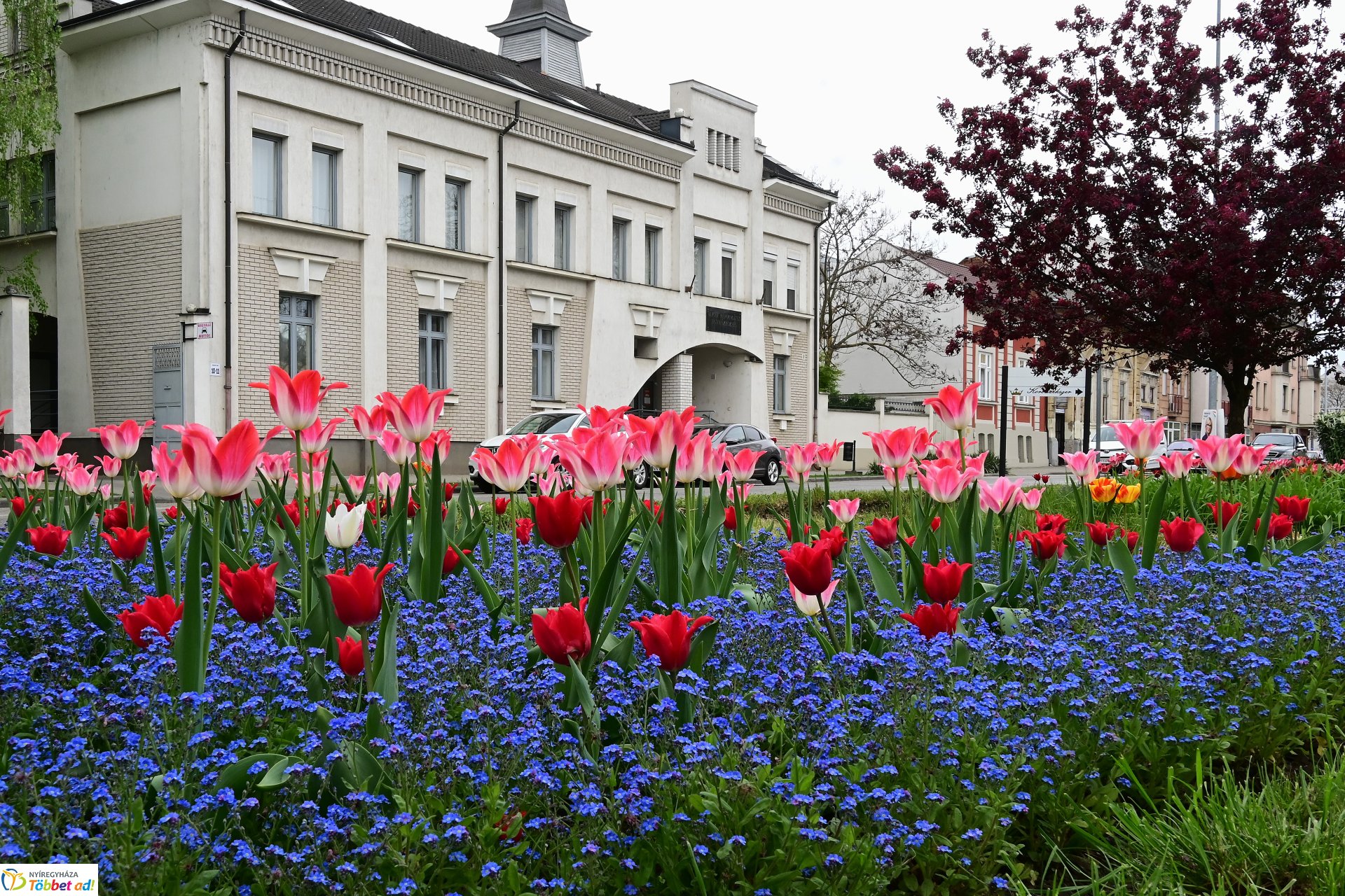 Tavaszi virágcsokor