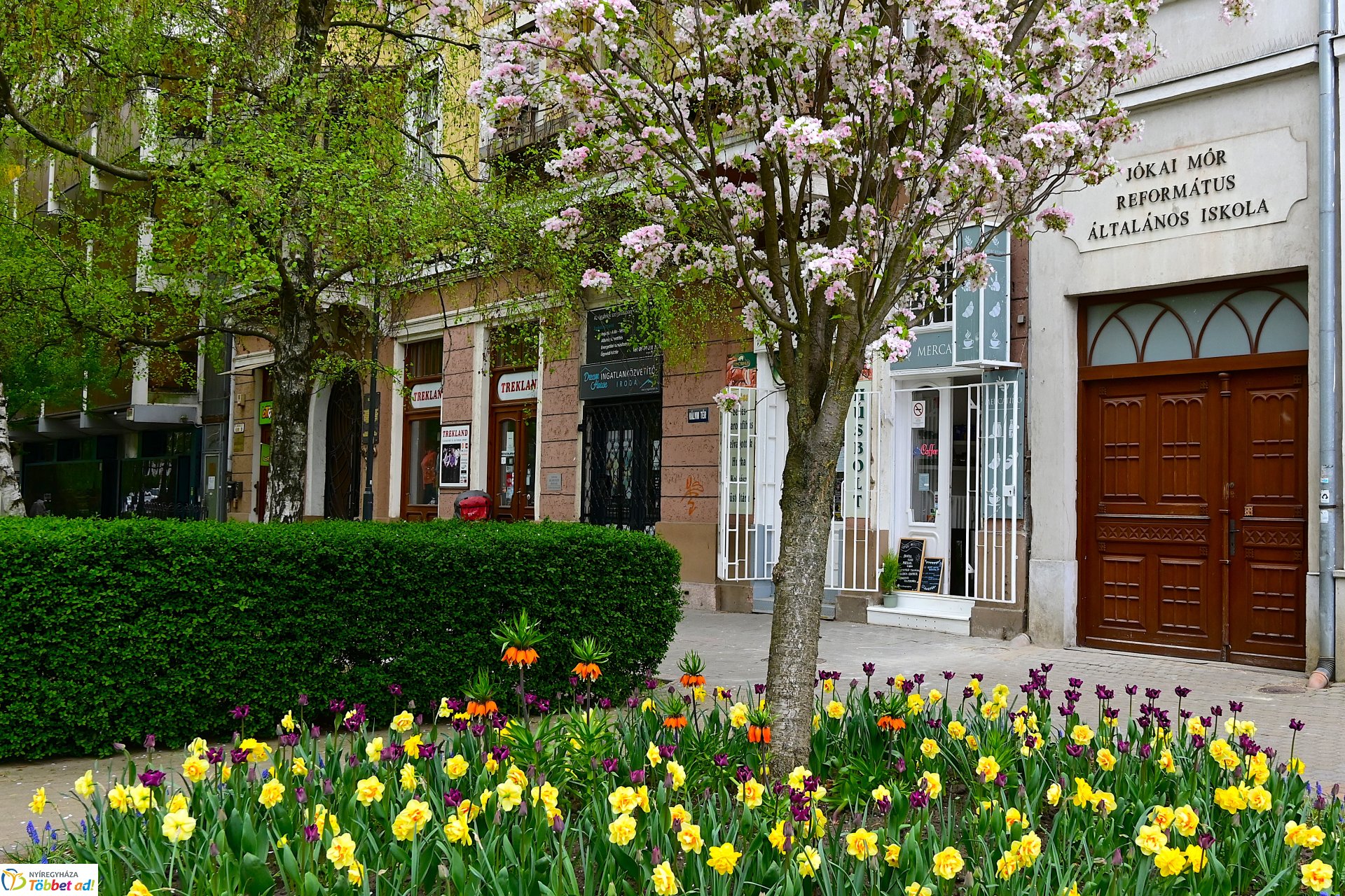 Tavaszi virágcsokor