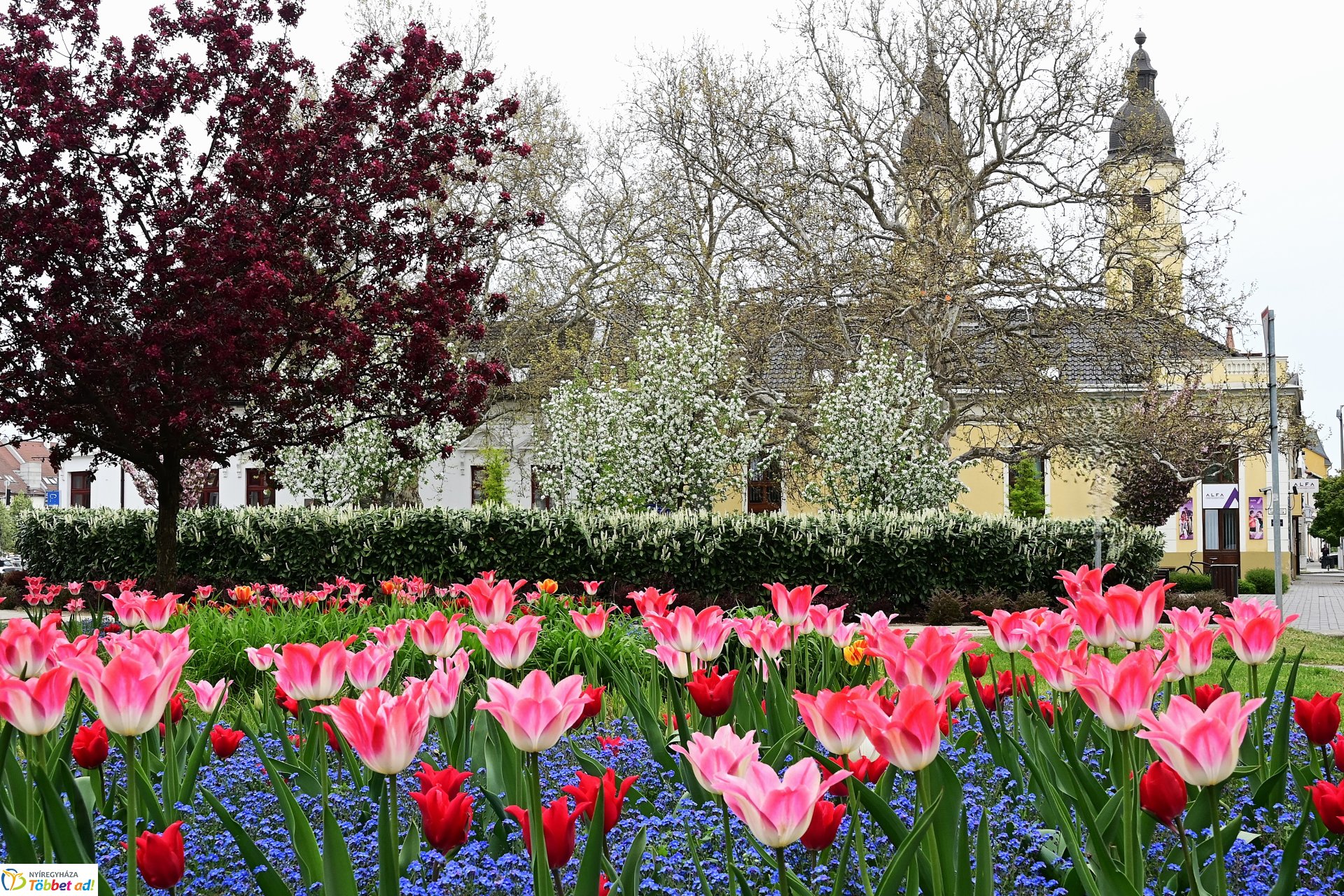 Tavaszi virágcsokor