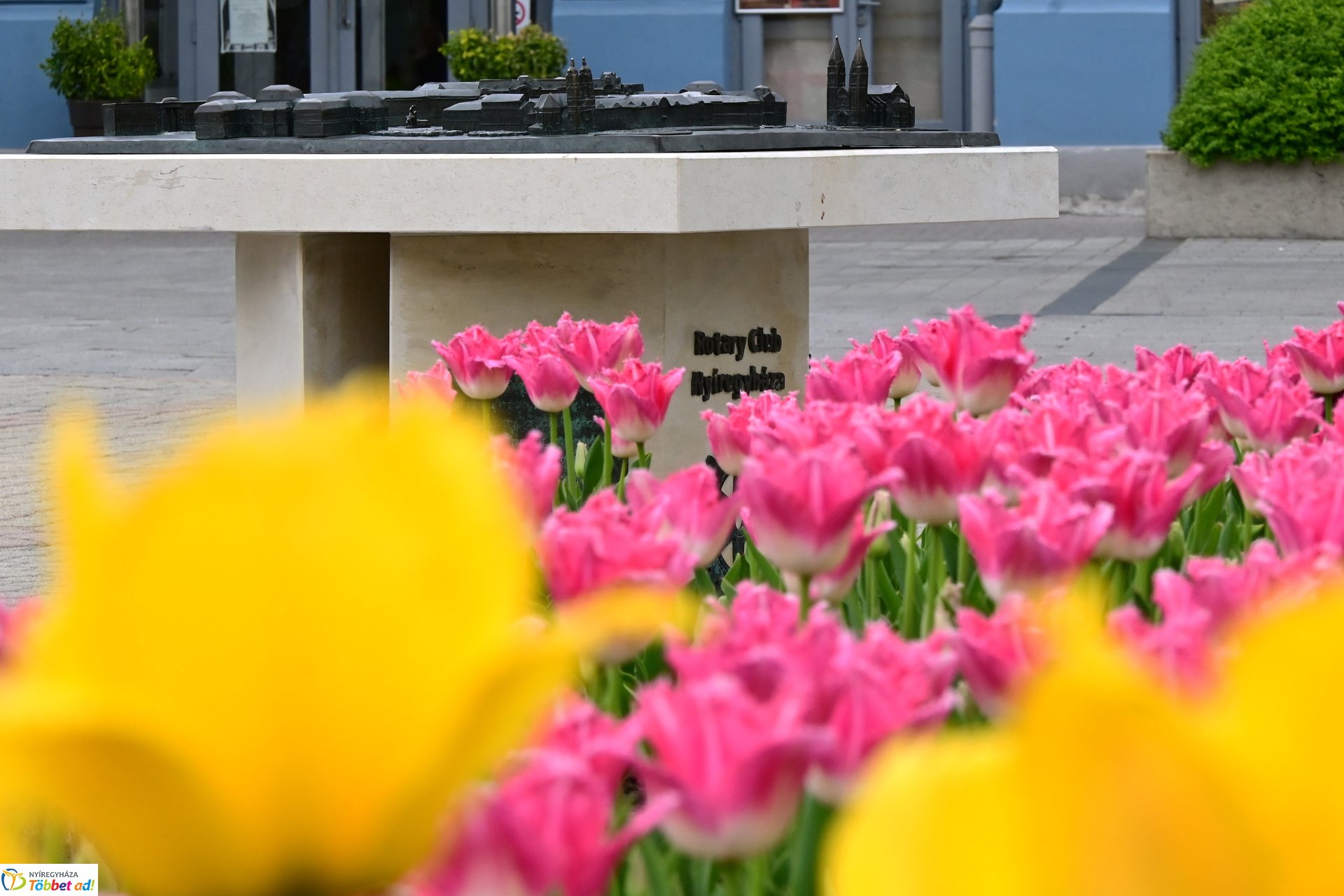 Tavaszi virágcsokor