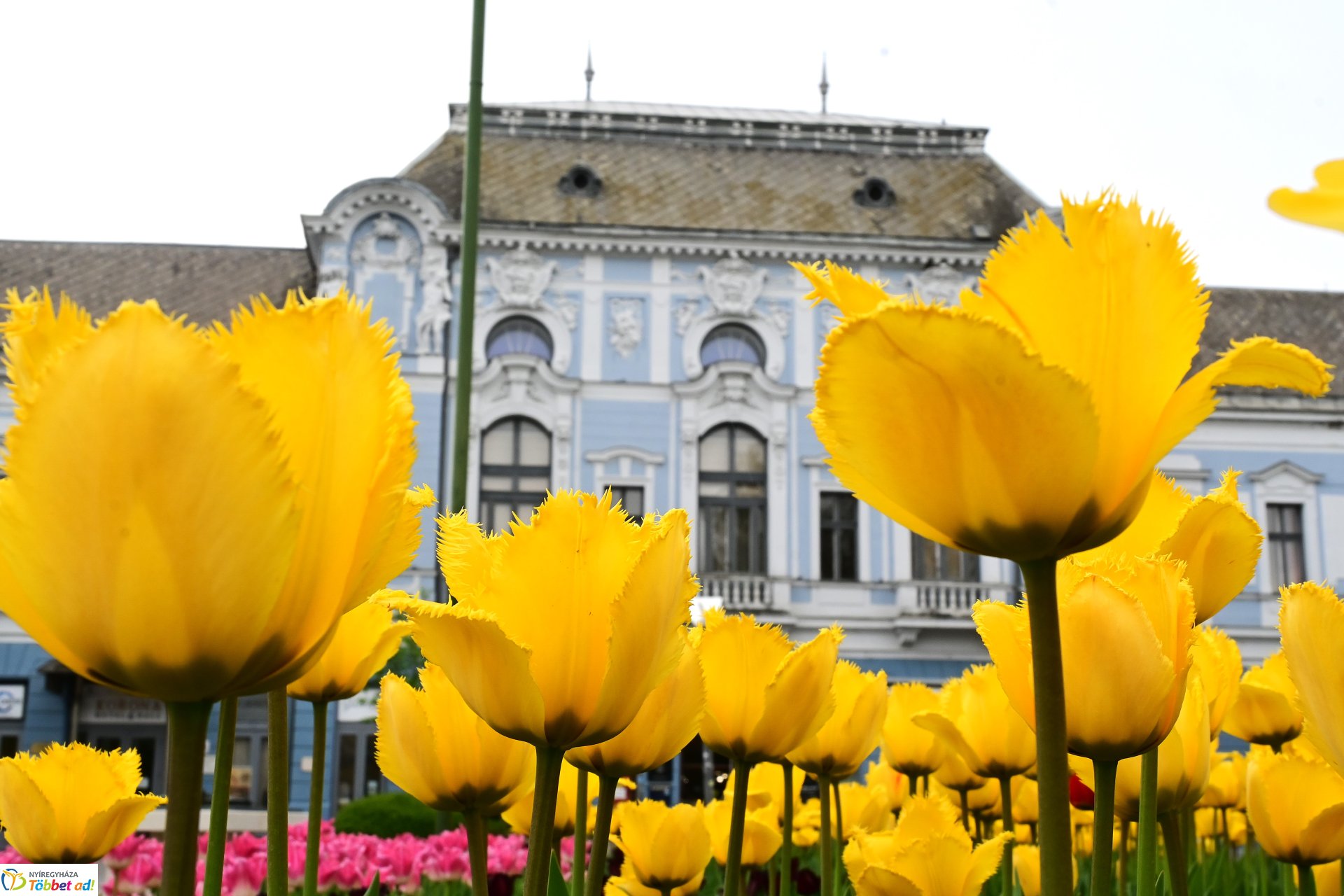 Tavaszi virágcsokor