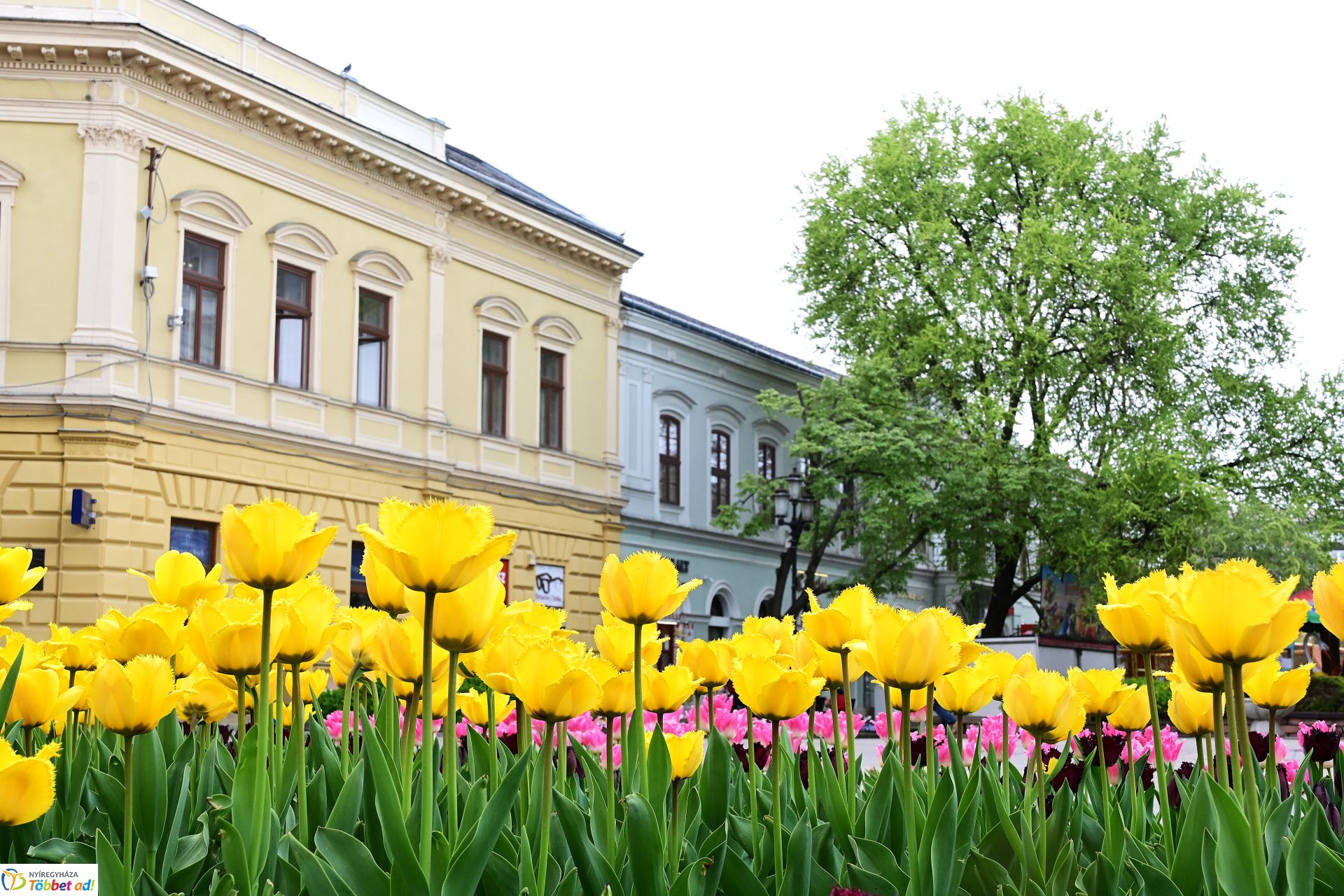 Tavaszi virágcsokor
