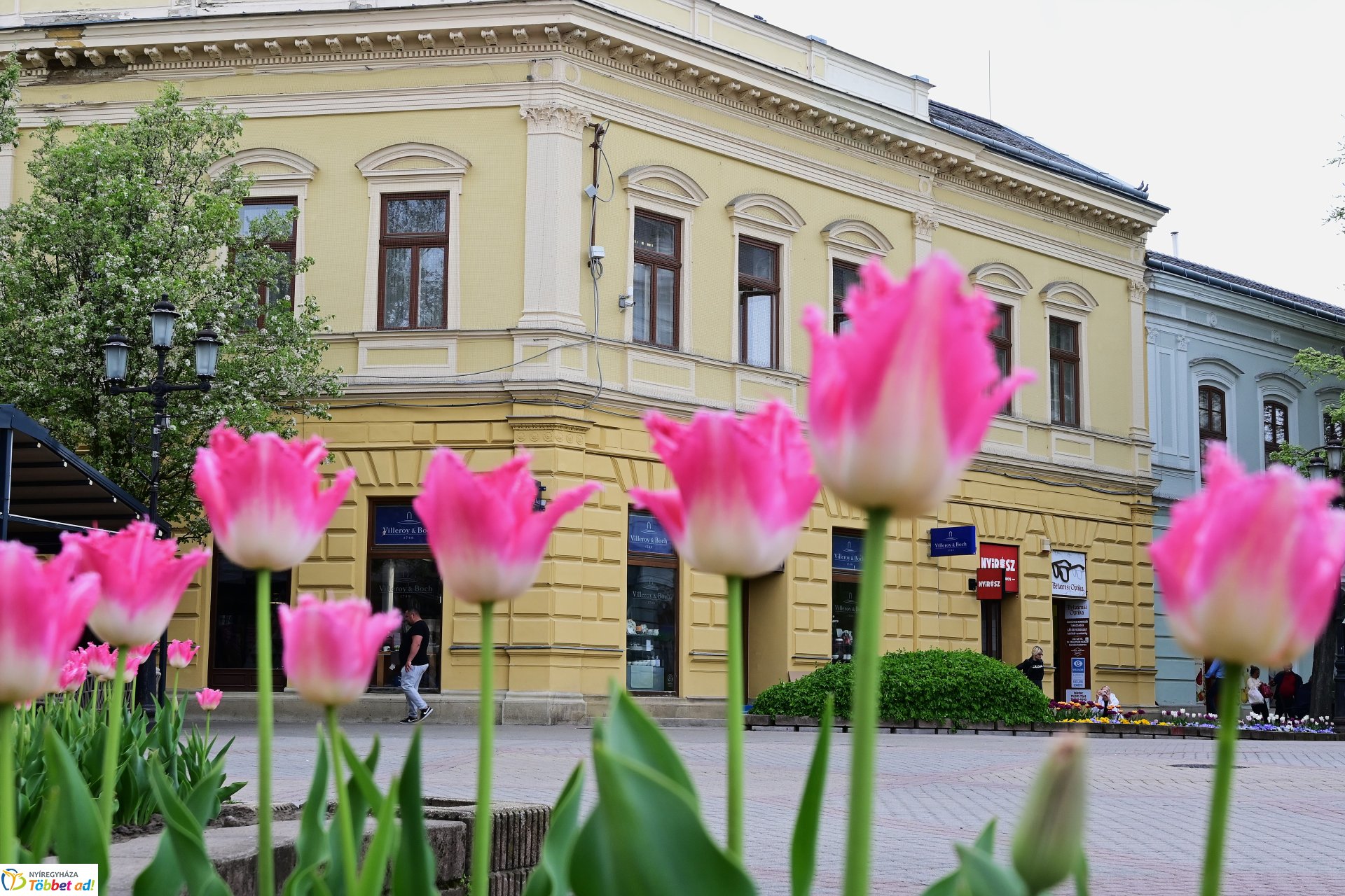 Tavaszi virágcsokor