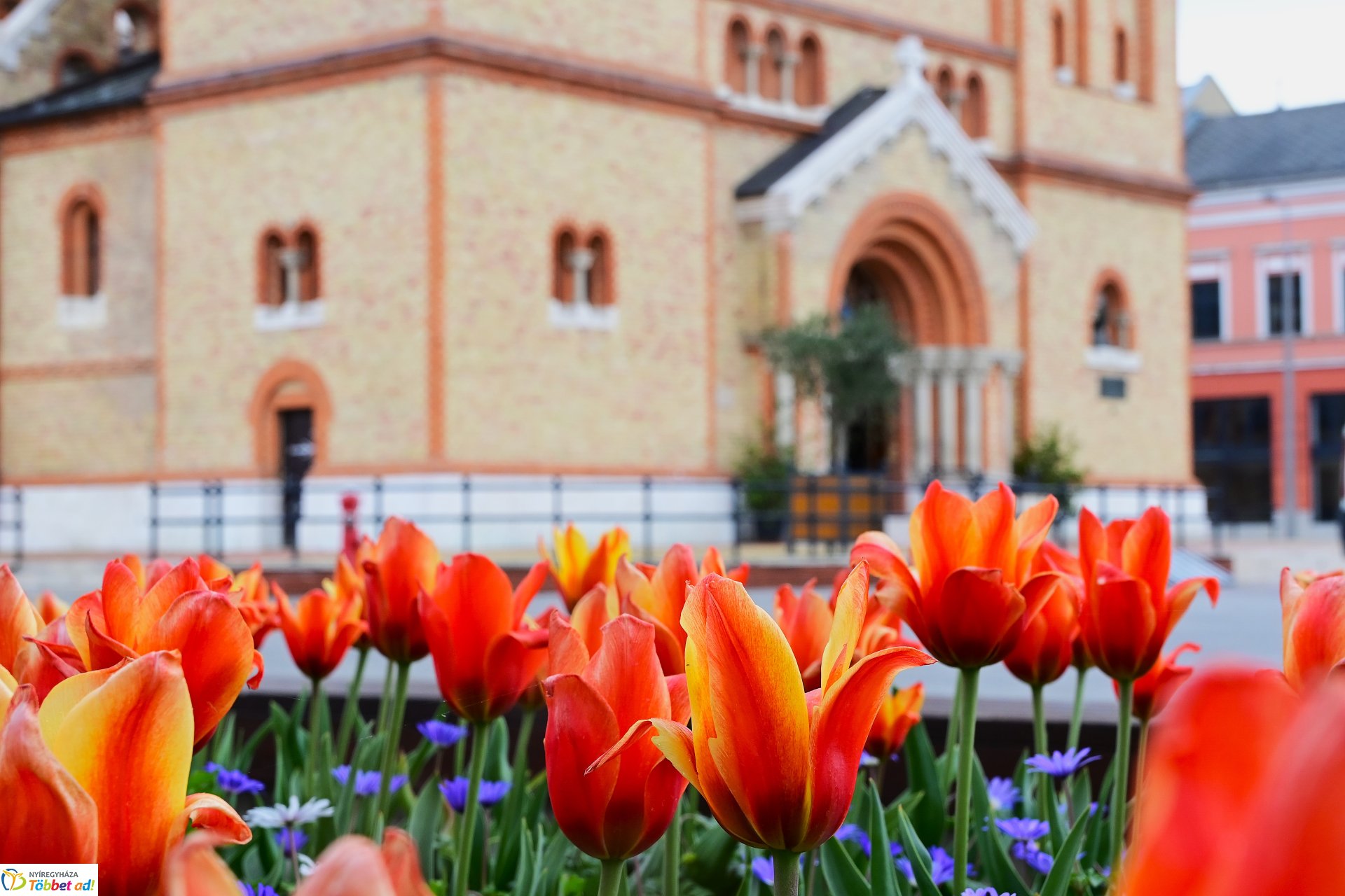 Tavaszi virágcsokor