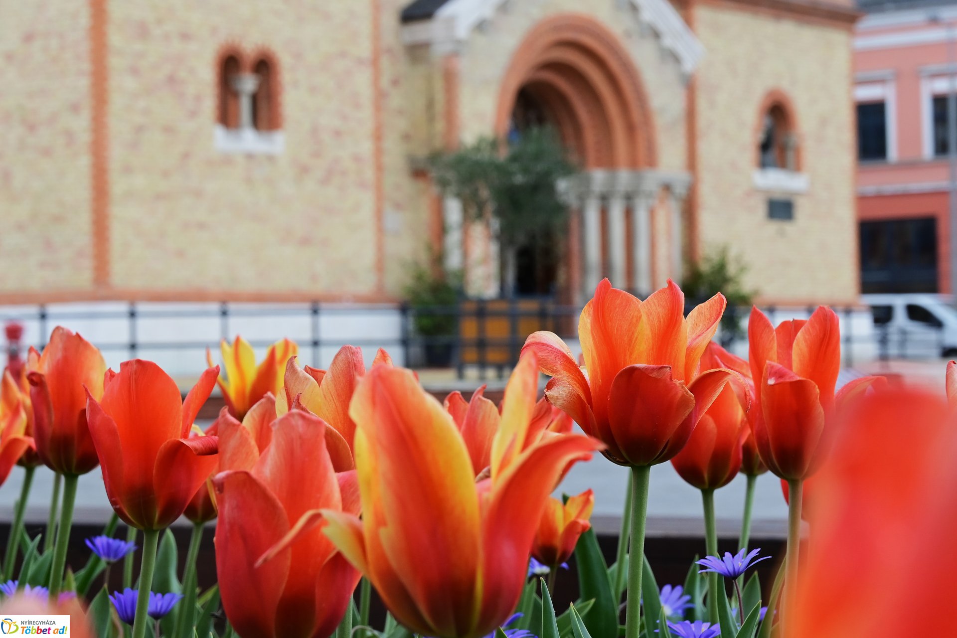 Tavaszi virágcsokor