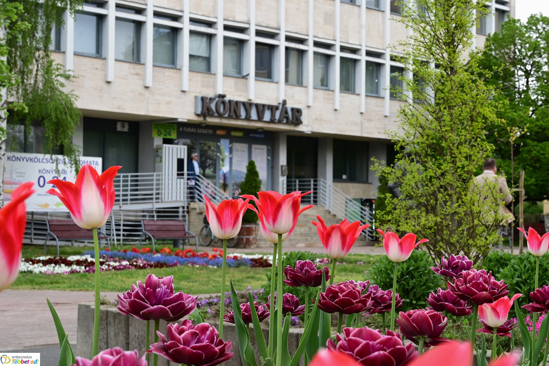 Tavaszi virágcsokor