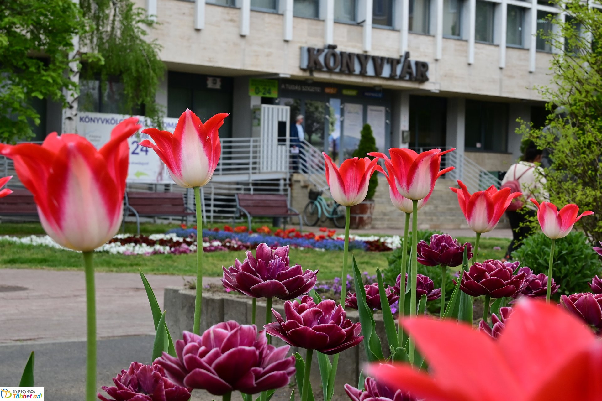 Tavaszi virágcsokor