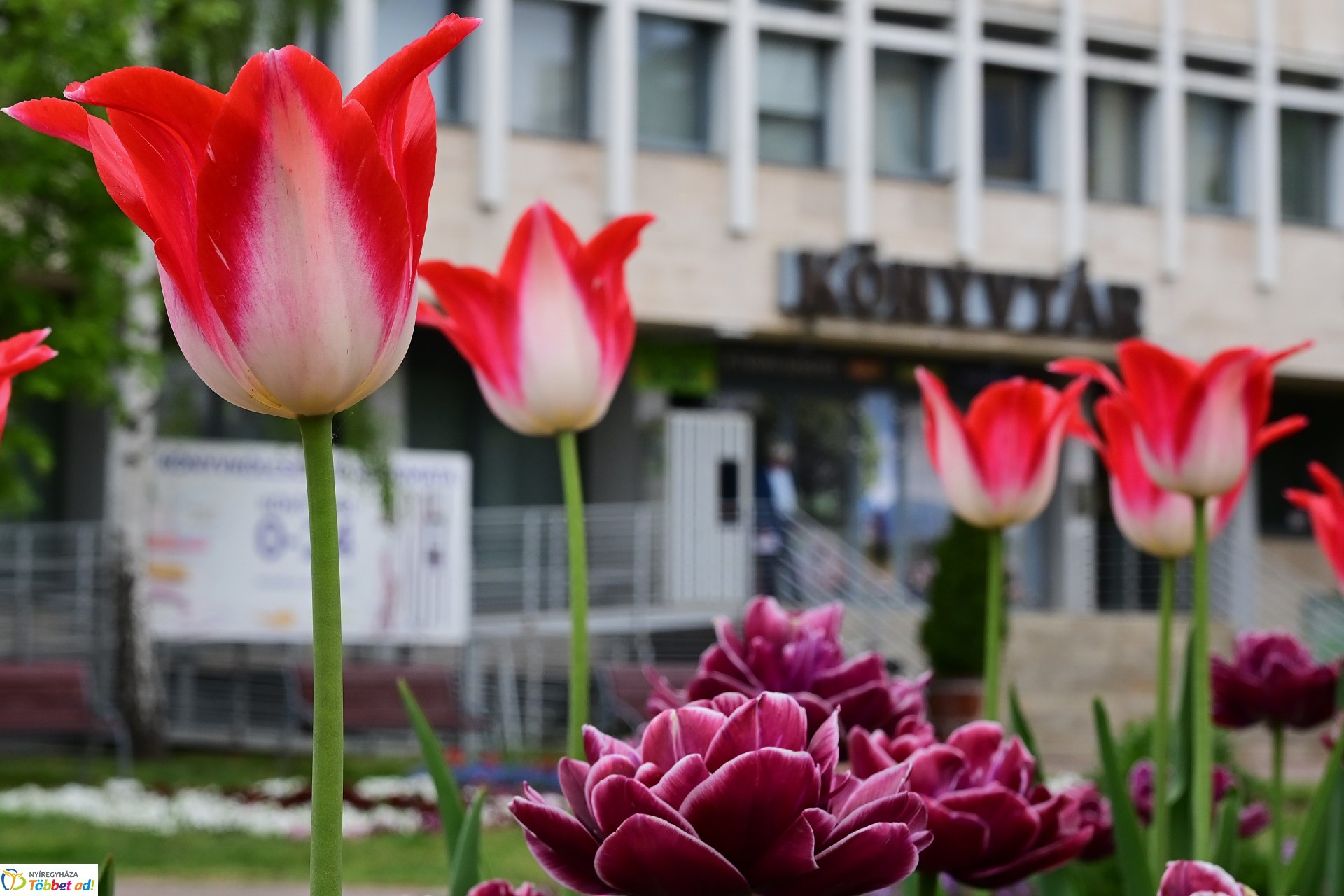 Tavaszi virágcsokor