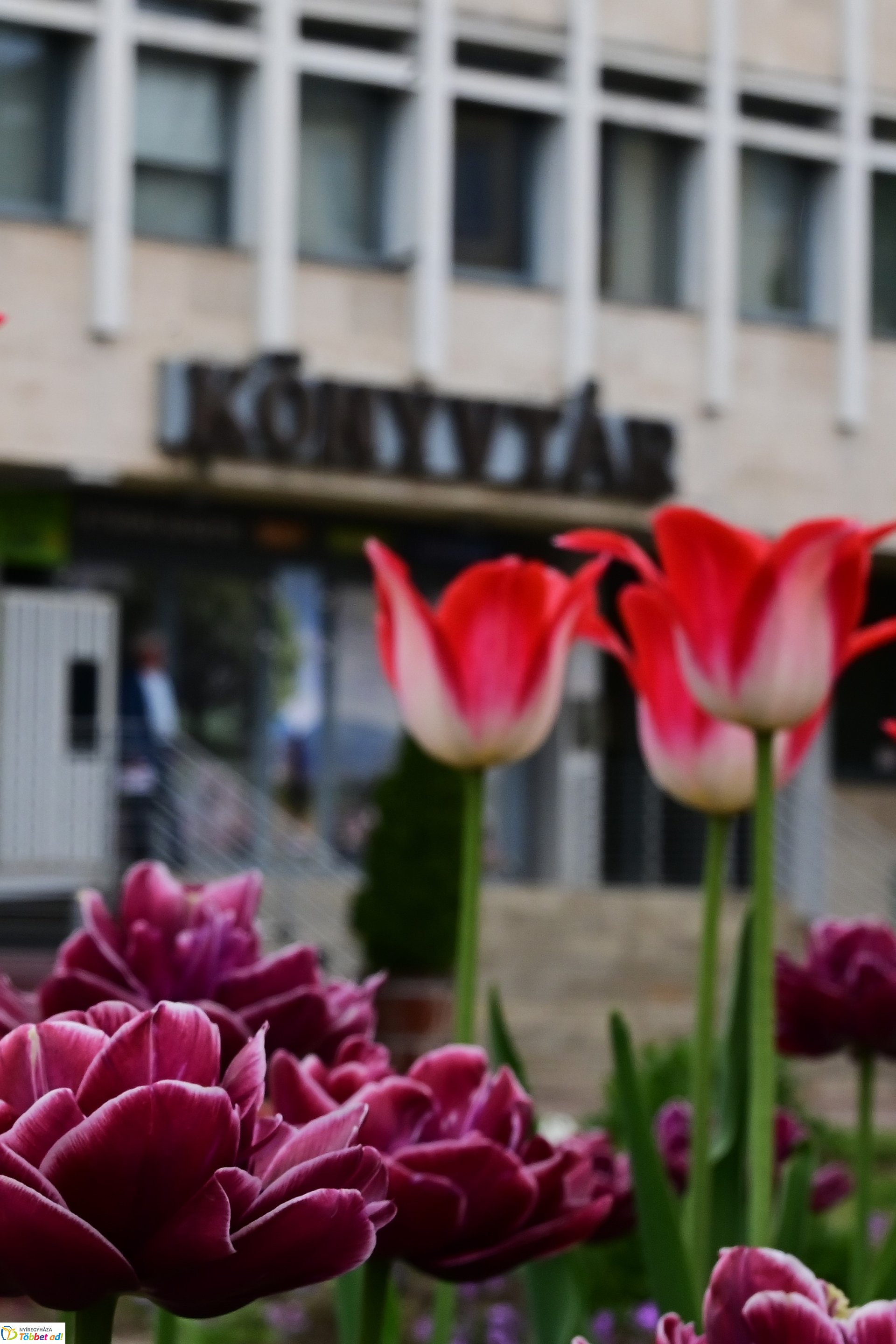 Tavaszi virágcsokor