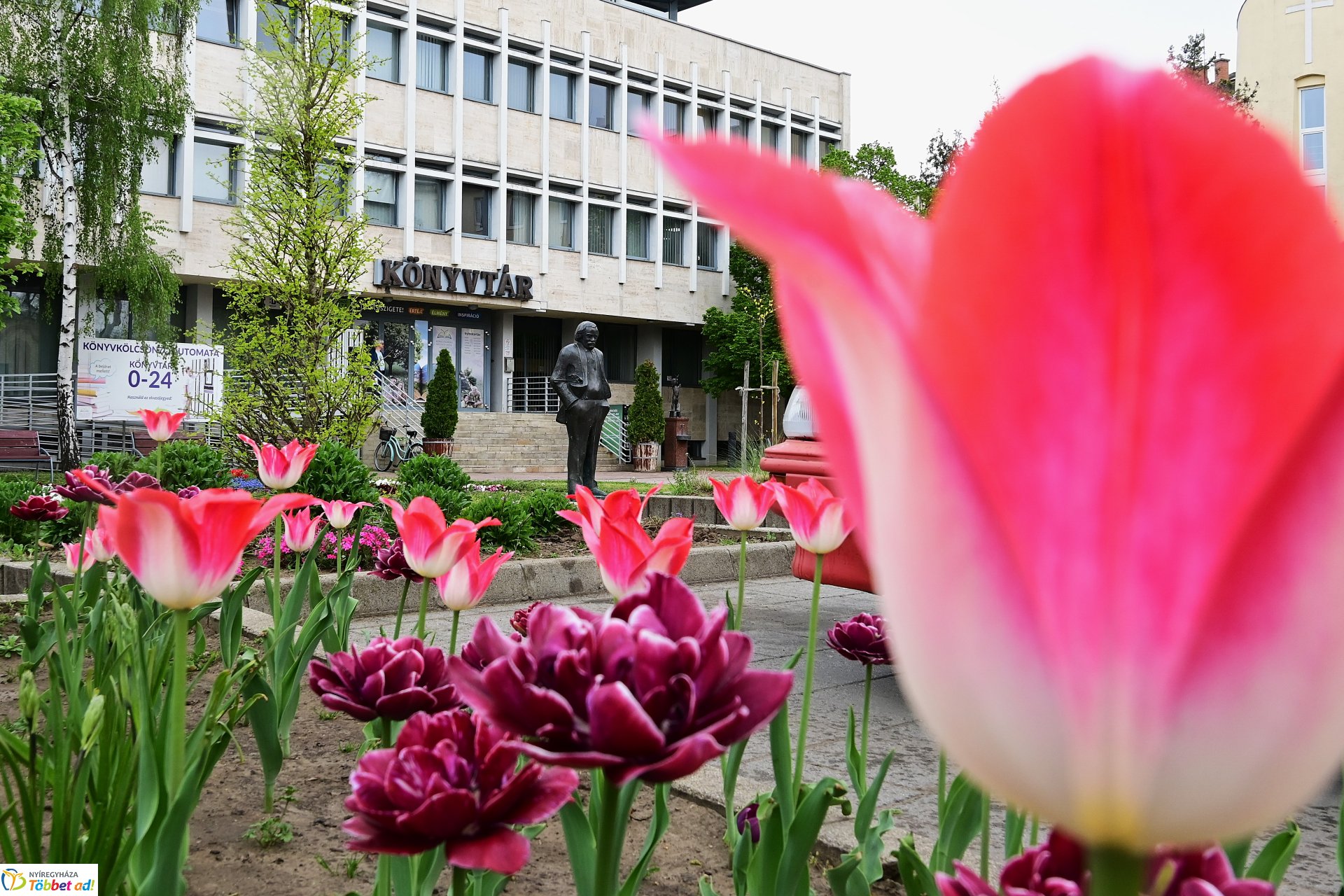 Tavaszi virágcsokor