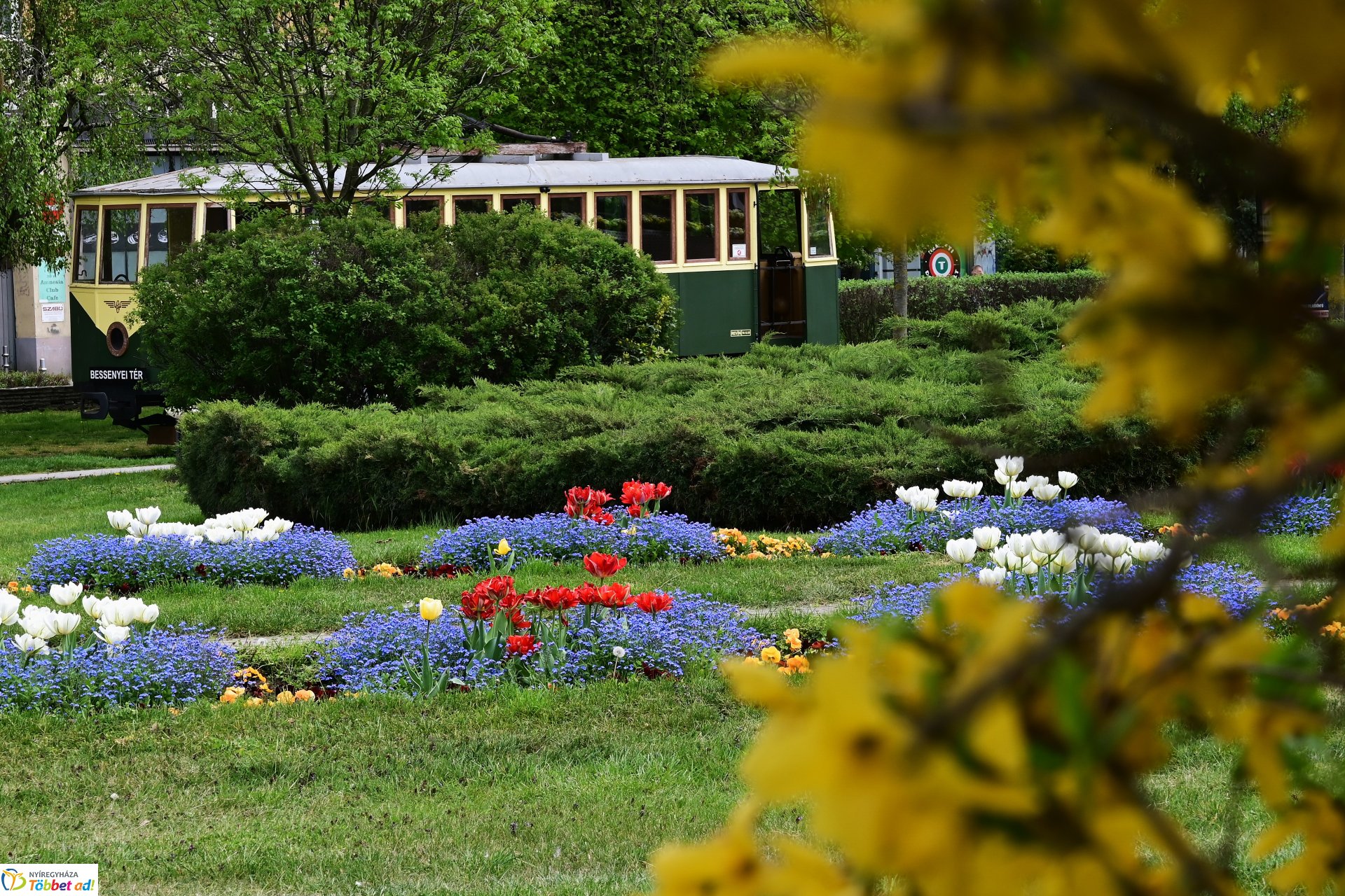 Tavaszi virágcsokor