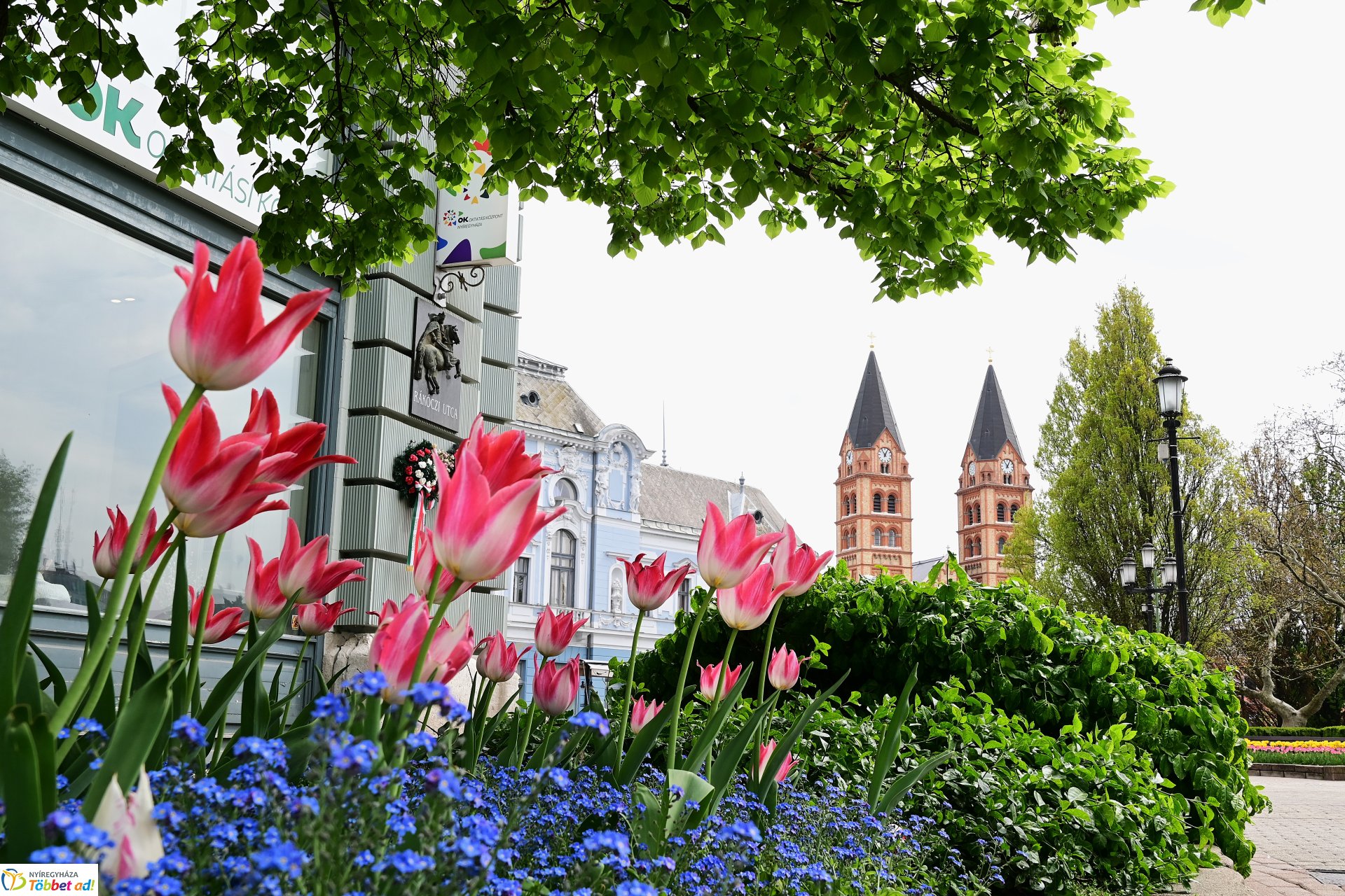 Tavaszi virágcsokor