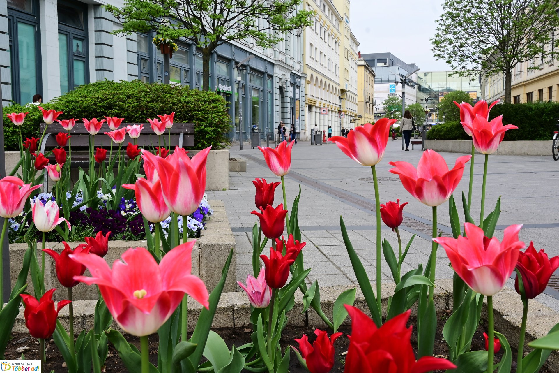 Tavaszi virágcsokor