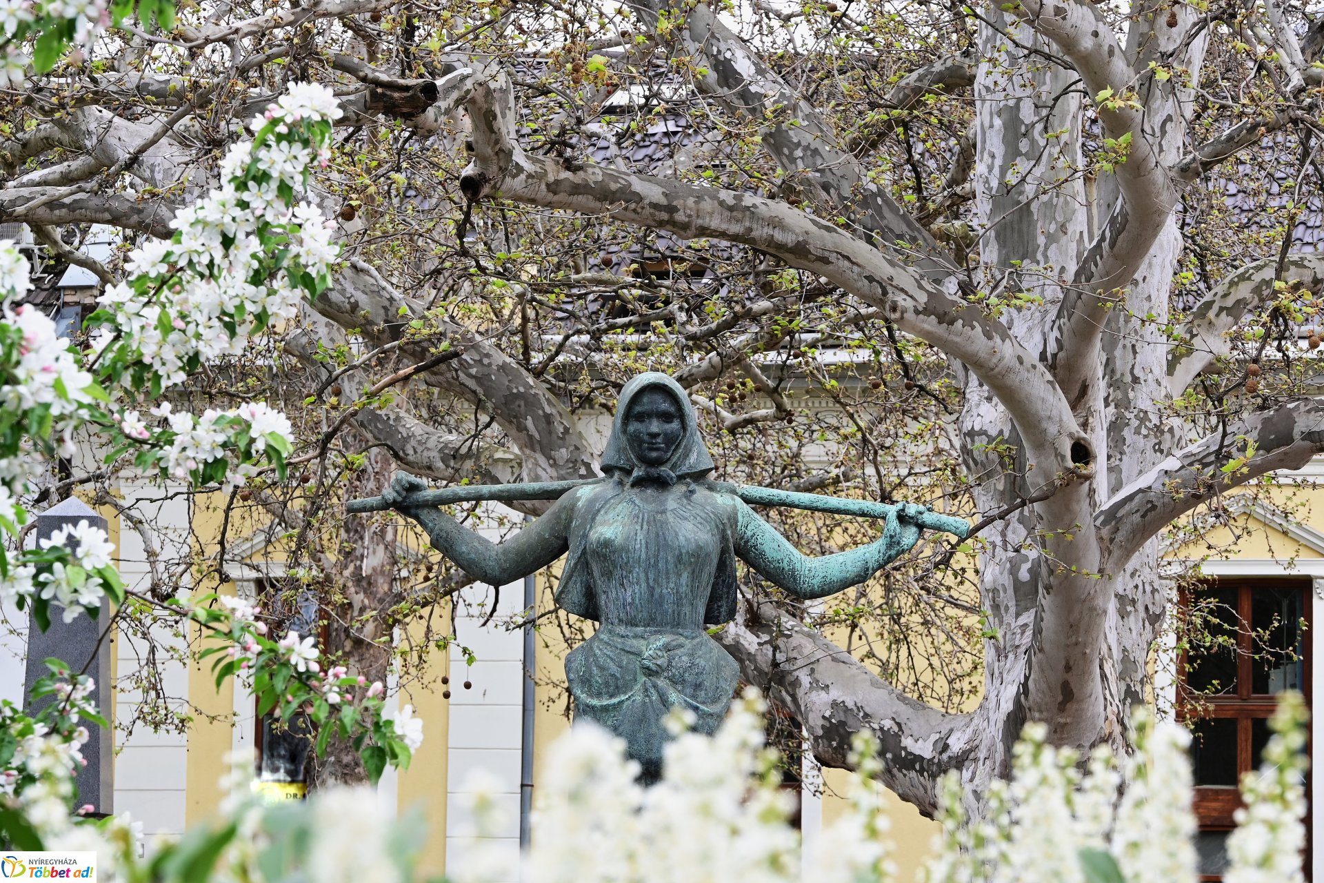 Tavaszi virágcsokor