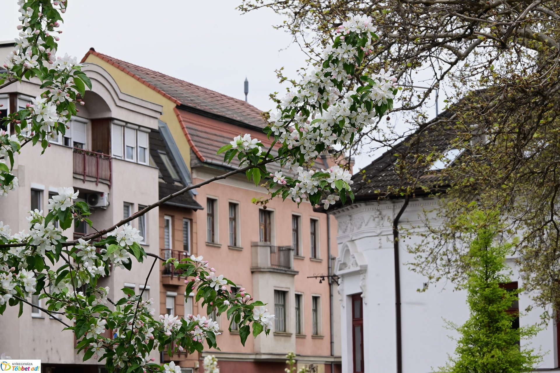 Tavaszi virágcsokor