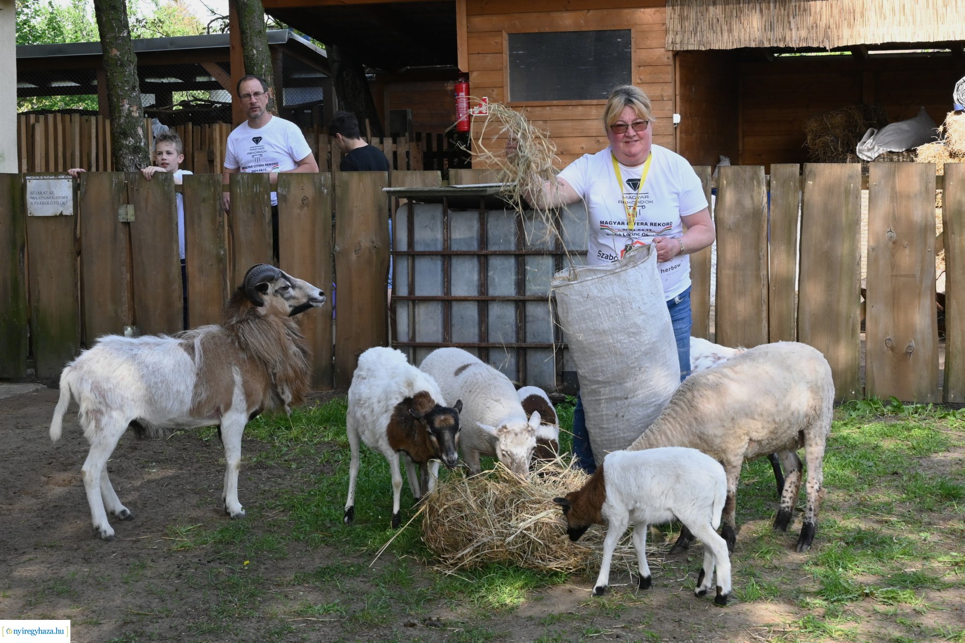 Tavaszi zsibongó és Népzenei Fesztivál Sóstóhegyen 