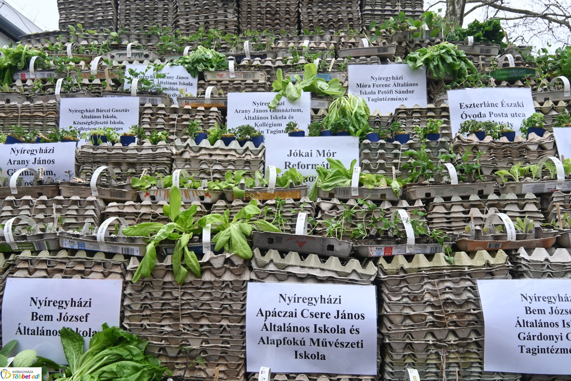 Tavaszi Zsibongó-Ökovásar és Zöld Piramis díjátadó a Szabó Lőrinc Tagintézményben