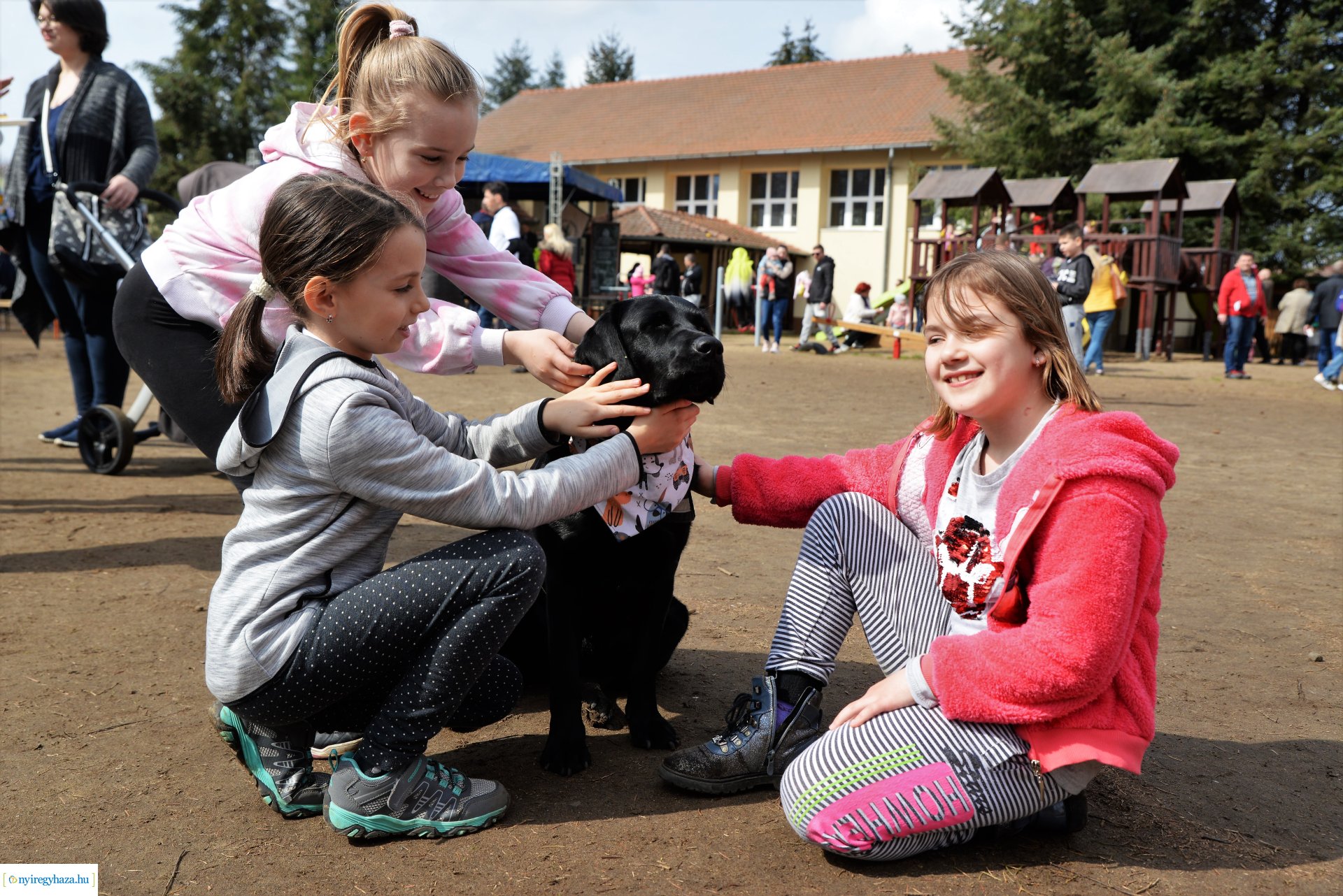 Tavaszi zsibongó Sóstóhegyen