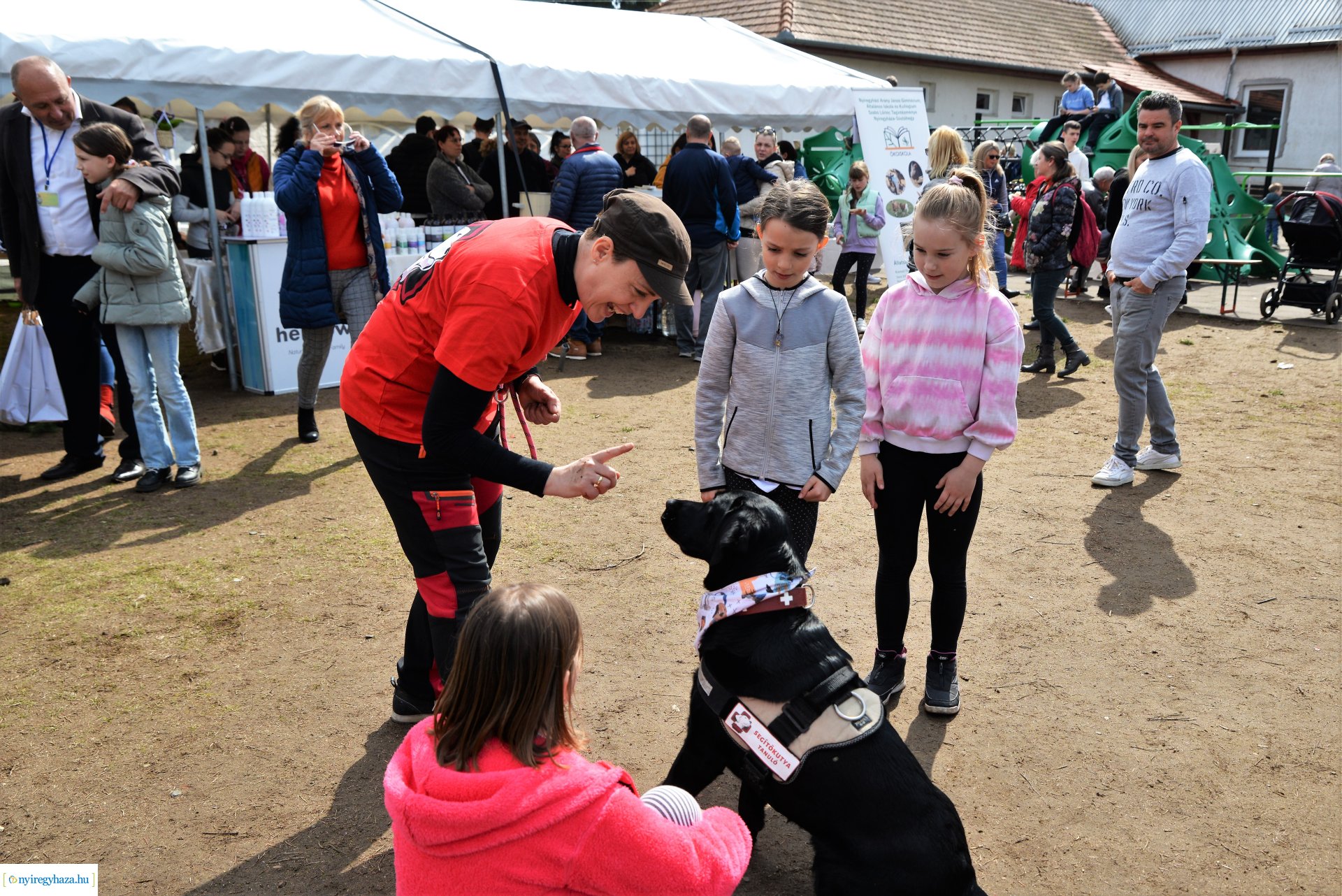 Tavaszi zsibongó Sóstóhegyen