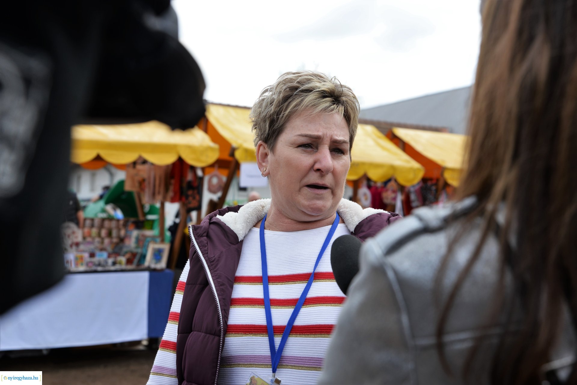 Tavaszi zsibongó Sóstóhegyen