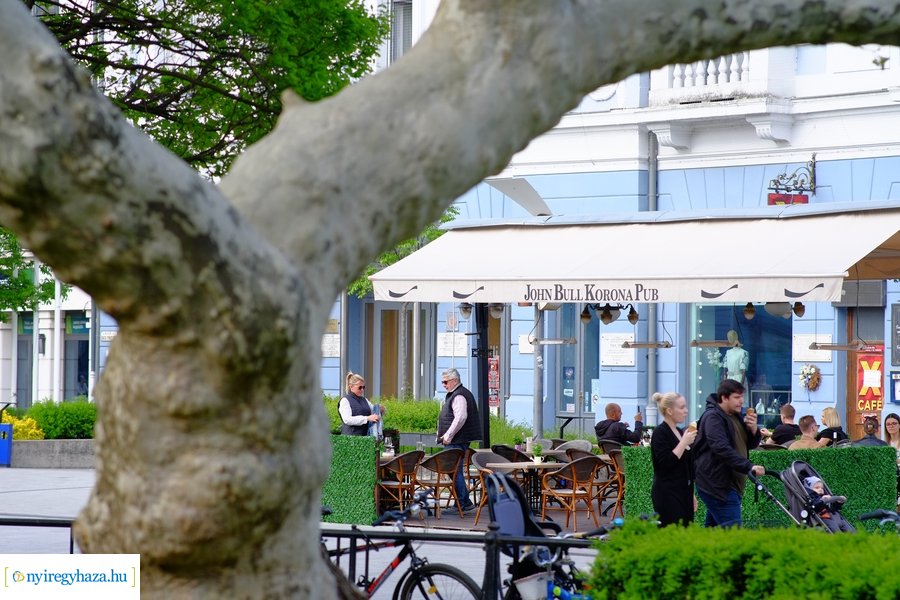 Tavaszi zsongás 2023 - Mentha Projekt