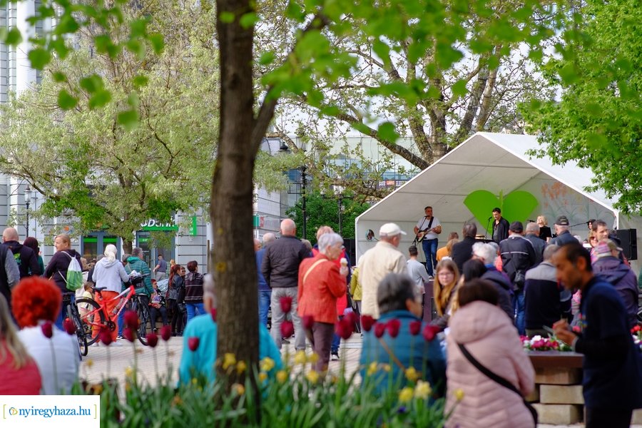 Tavaszi zsongás 2023 - Mentha Projekt