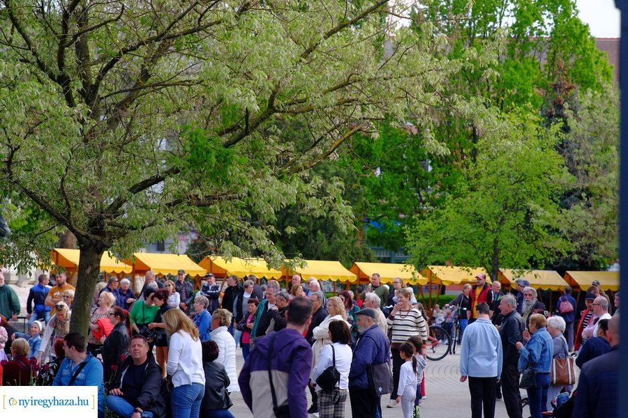 Tavaszi zsongás 2023 - Mentha Projekt