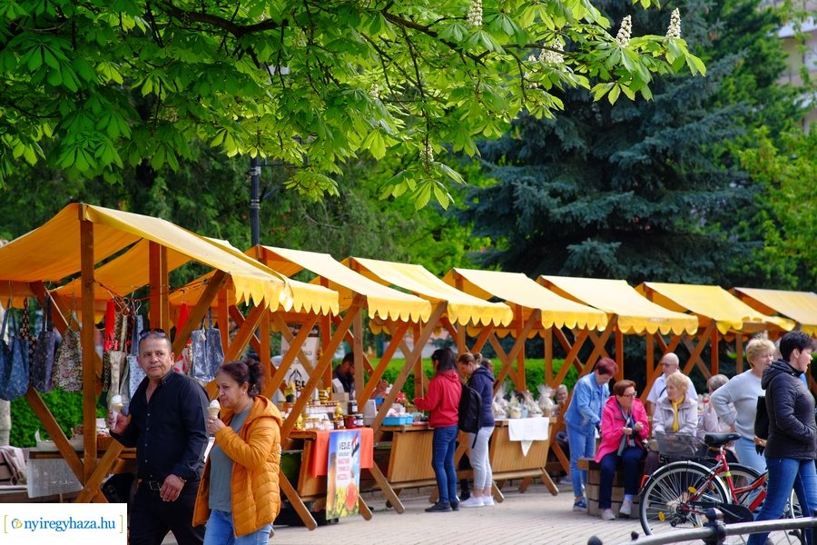 Tavaszi zsongás 2023 - Mentha Projekt