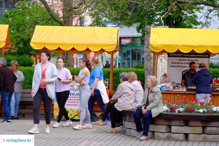 Tavaszi zsongás 2023 - Mentha Projekt