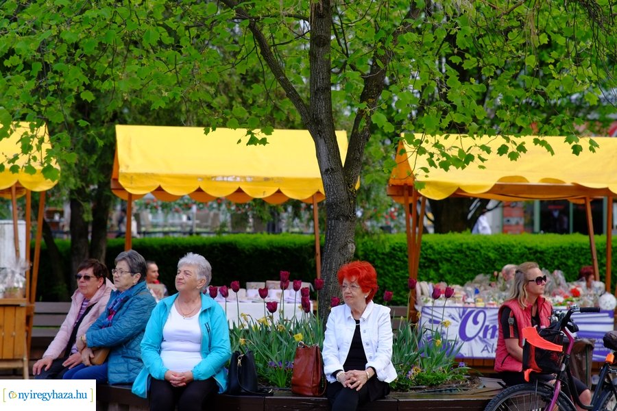 Tavaszi zsongás 2023 - Mentha Projekt